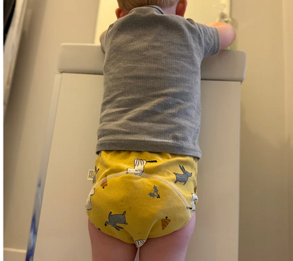 QuickPotty Underwear